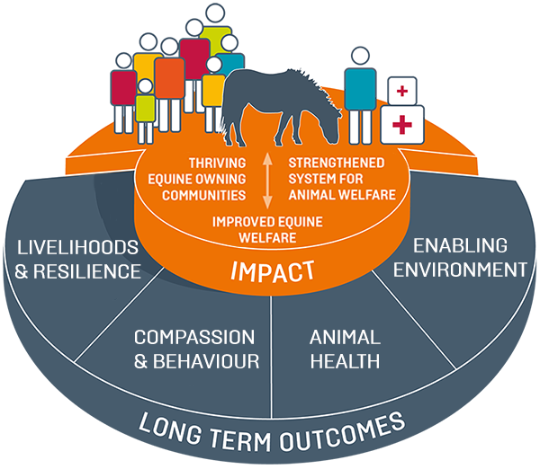 Brooke's theory of change infographic is orange and grey and shows people stood next to a horse.