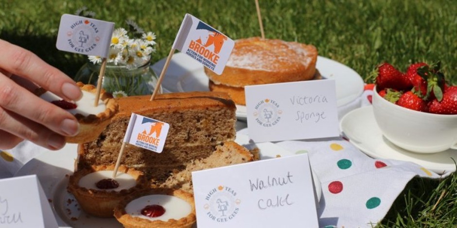 fundraise for Brooke