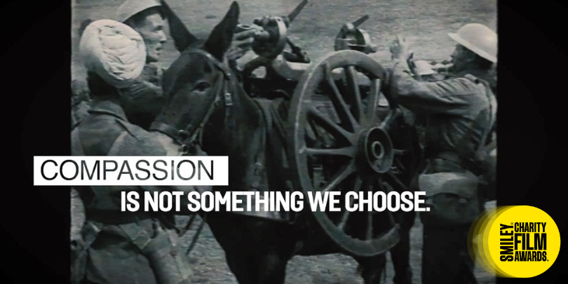 a picture of a war mule being loaded up with artillery with text overlayed saying 'Compassion is not something we choose'