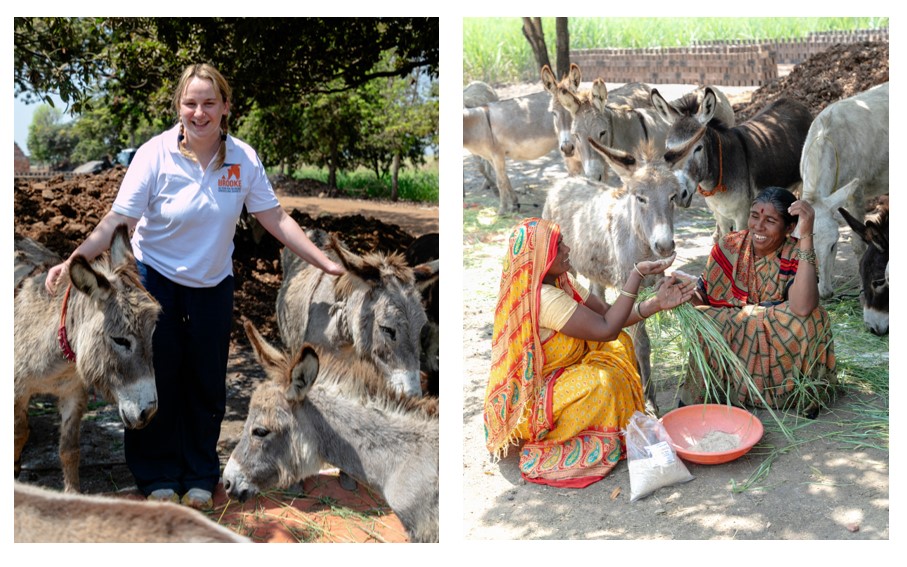 Woman with donkeys in India 