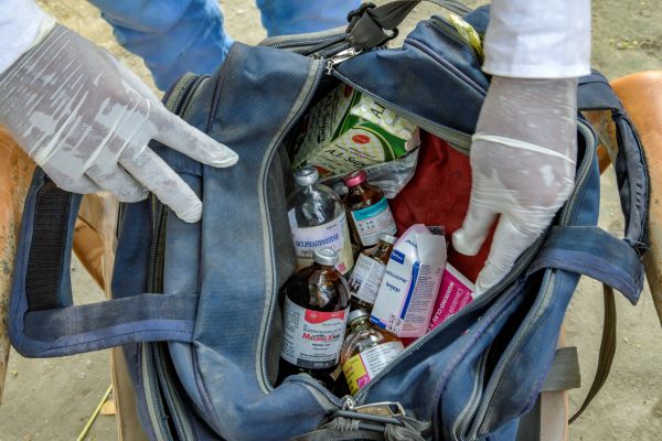 Equine medicines in India