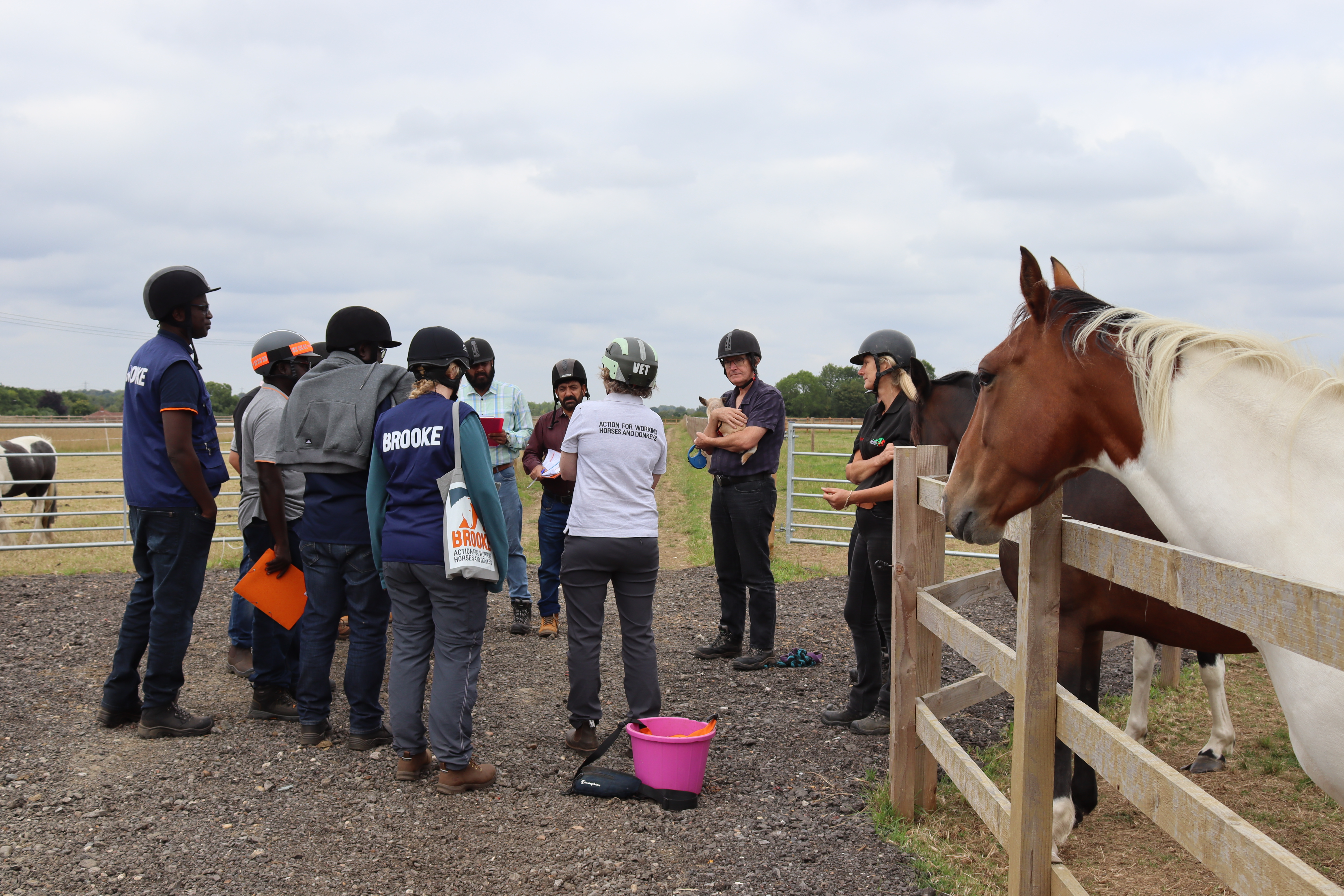 Brooke and Redwings staff at horse handling workshop in Norfolk 