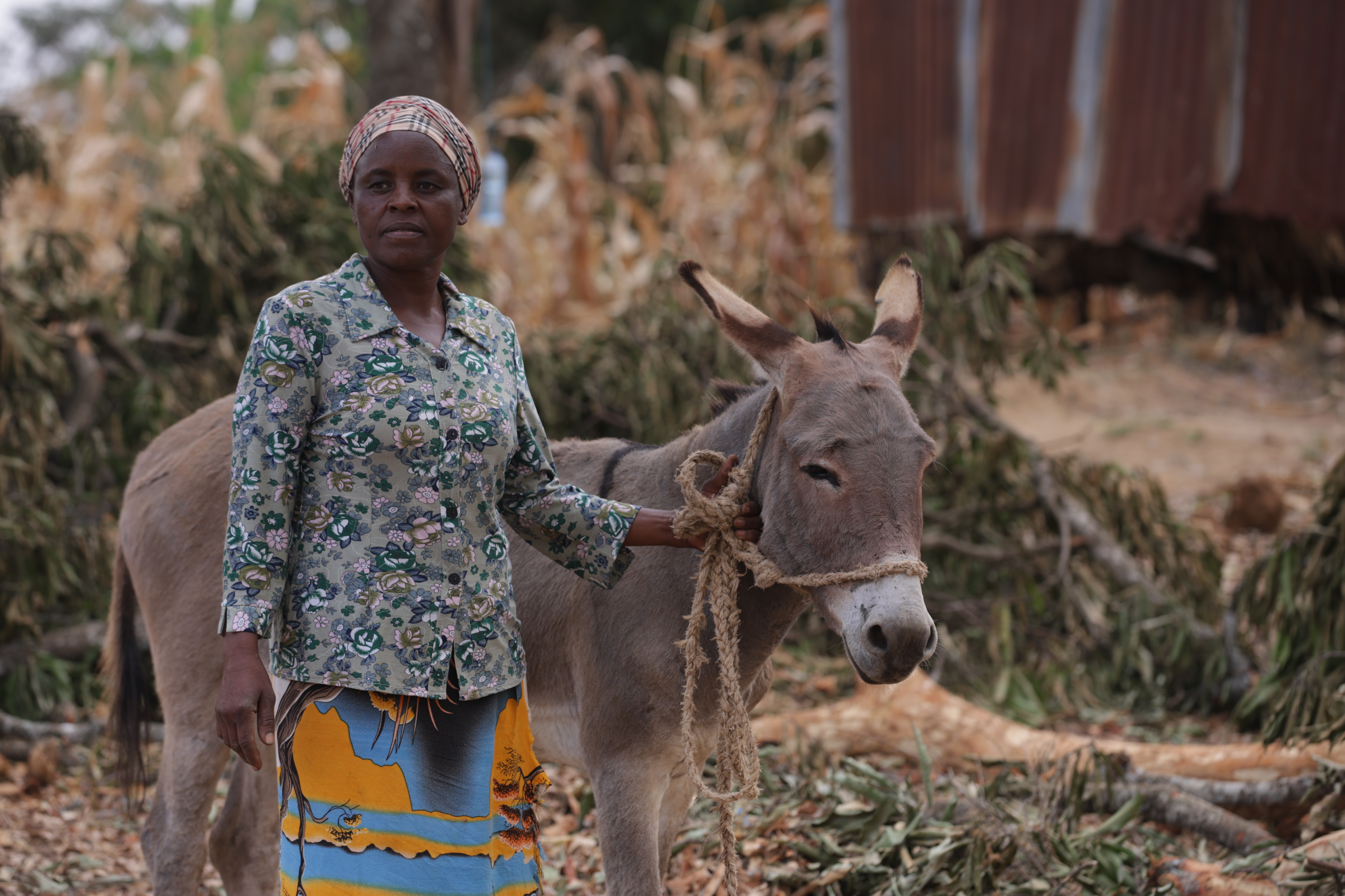 Woman with donkey in Kenya