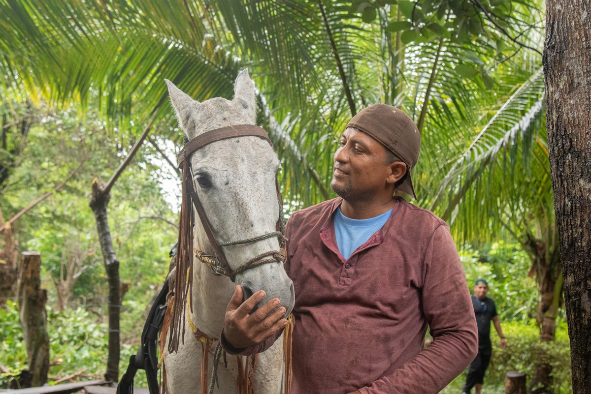 Man and horse in Ometepe Island