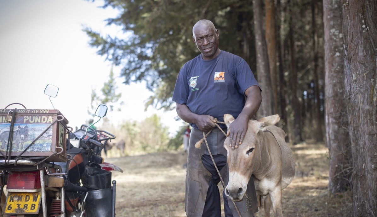 Farrier with donkey in Kenya