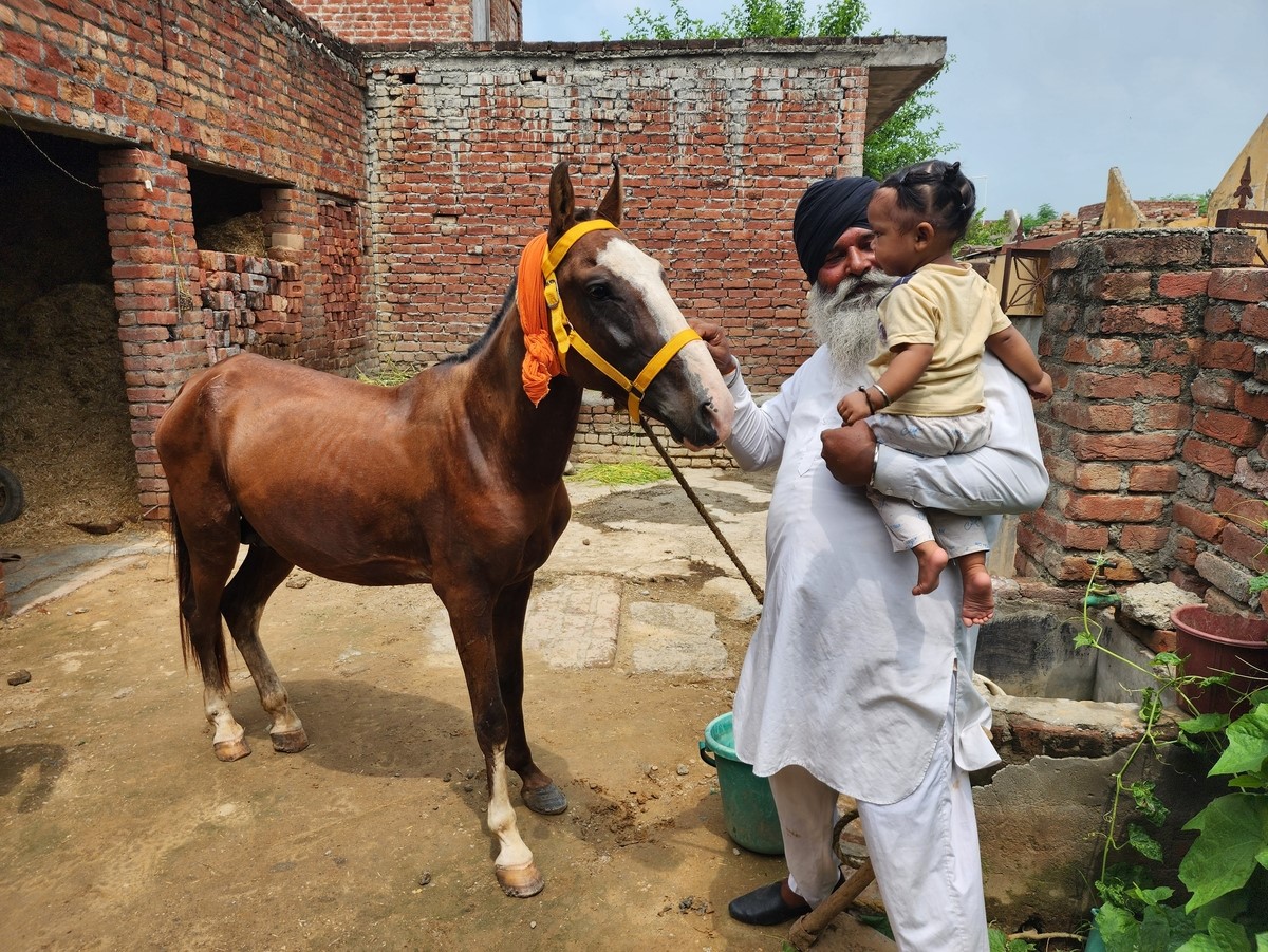 Man shows child horse in India
