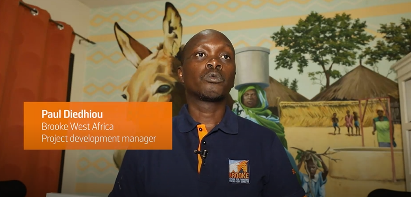 Brooke West Africa project lead in Burkina Faso
