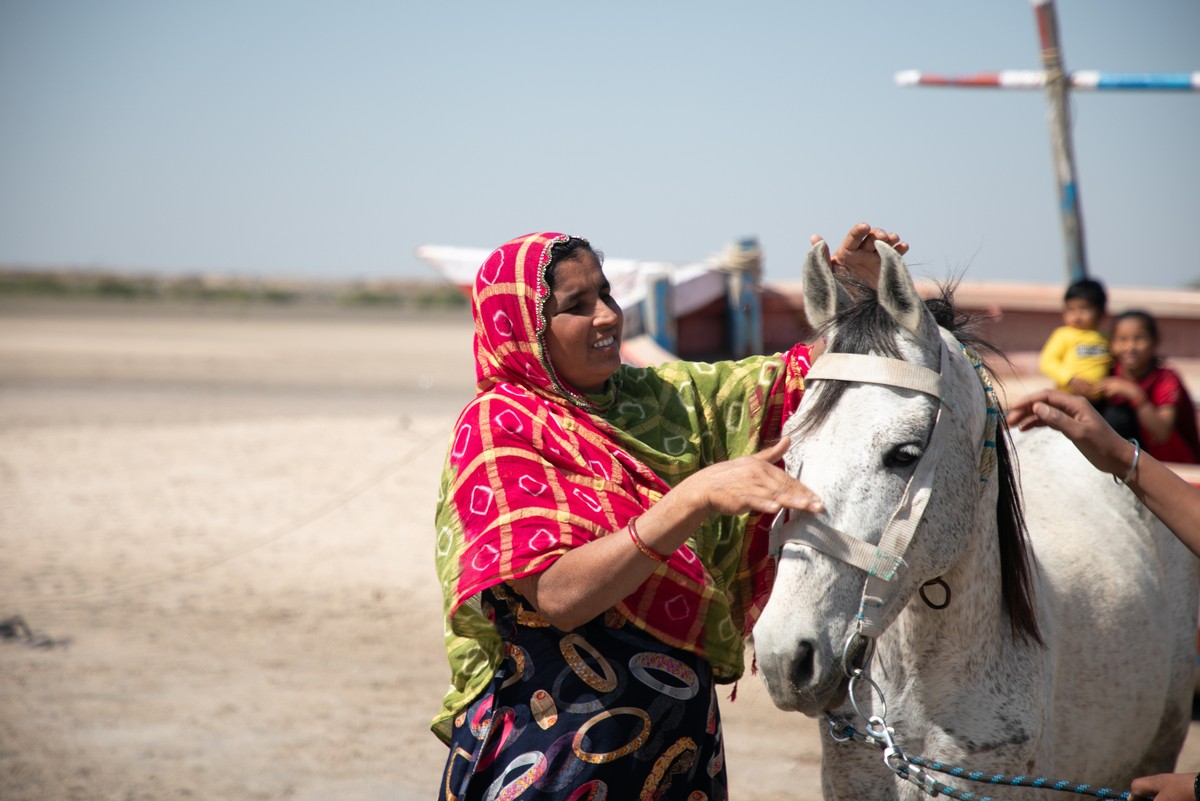 Woman adjusts horse's harness in India