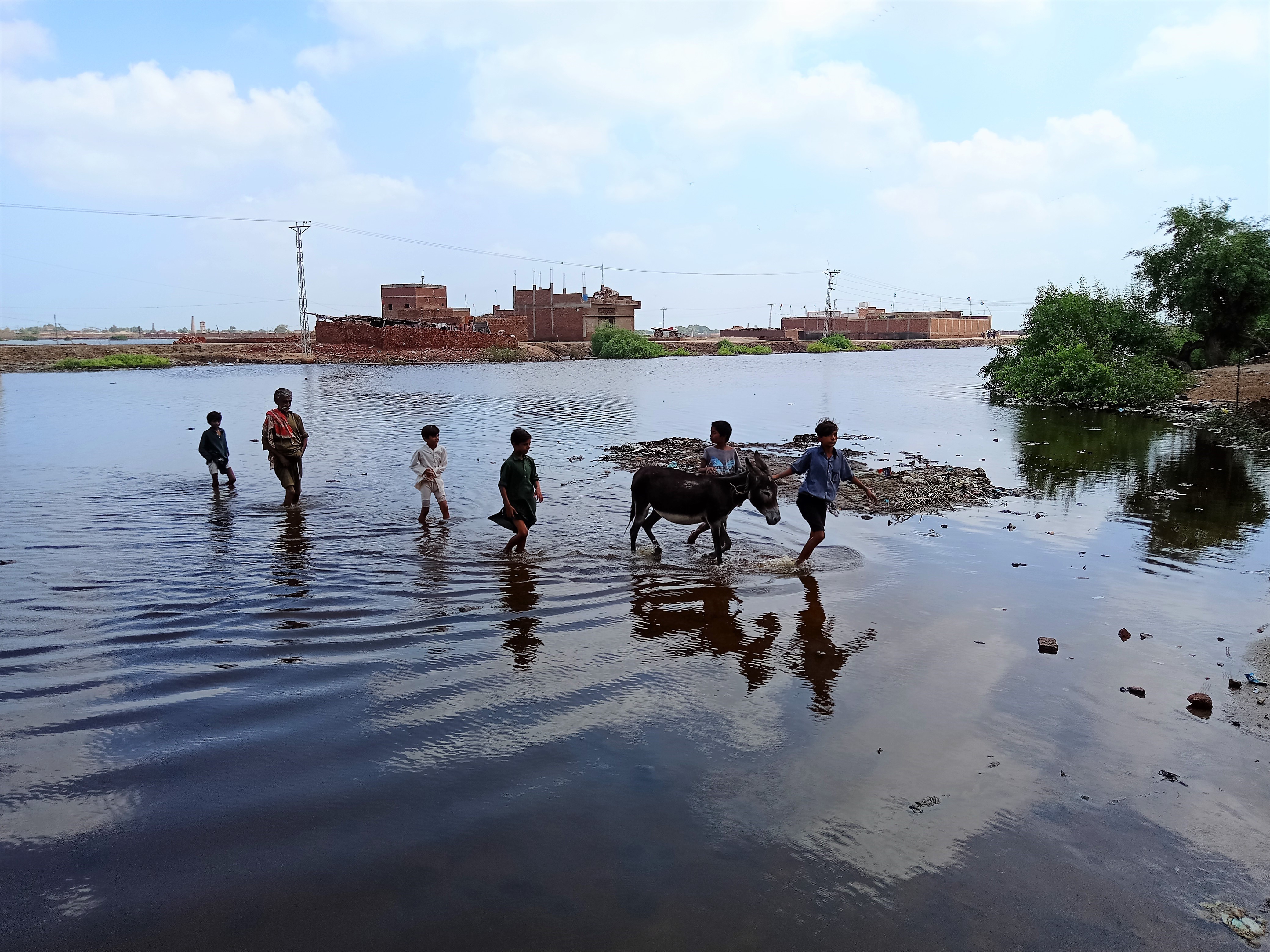 Donkey and children during Pakistan floods 