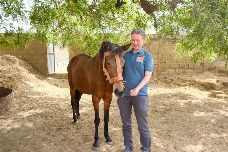 Dr Sophie Hill with a horse in Senegal