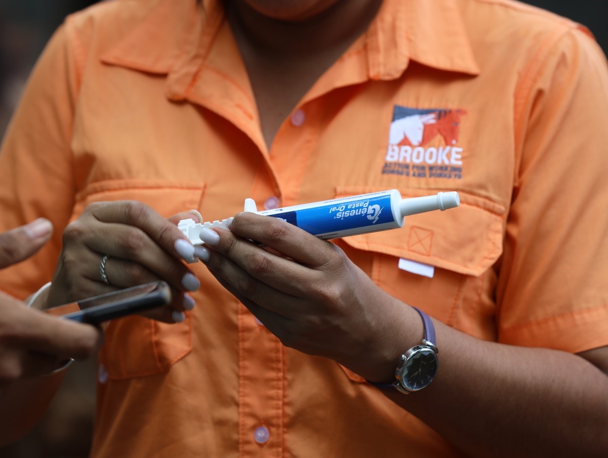 Close up of vet preparing injection in Nicaragua.
