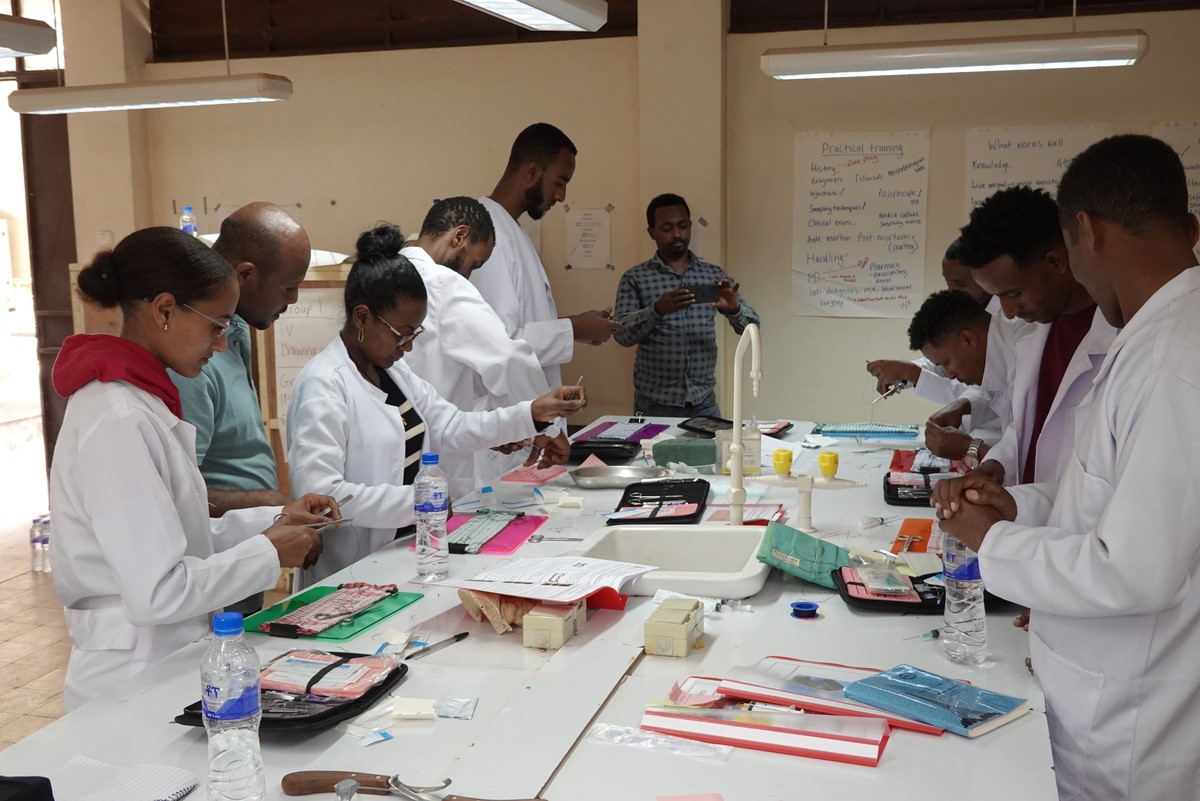 Vets at Brooke workshop in Ethiopia