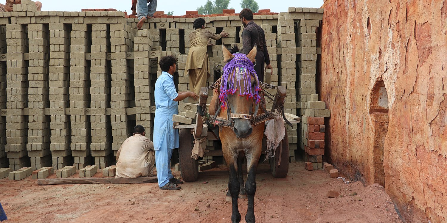 A working donkey