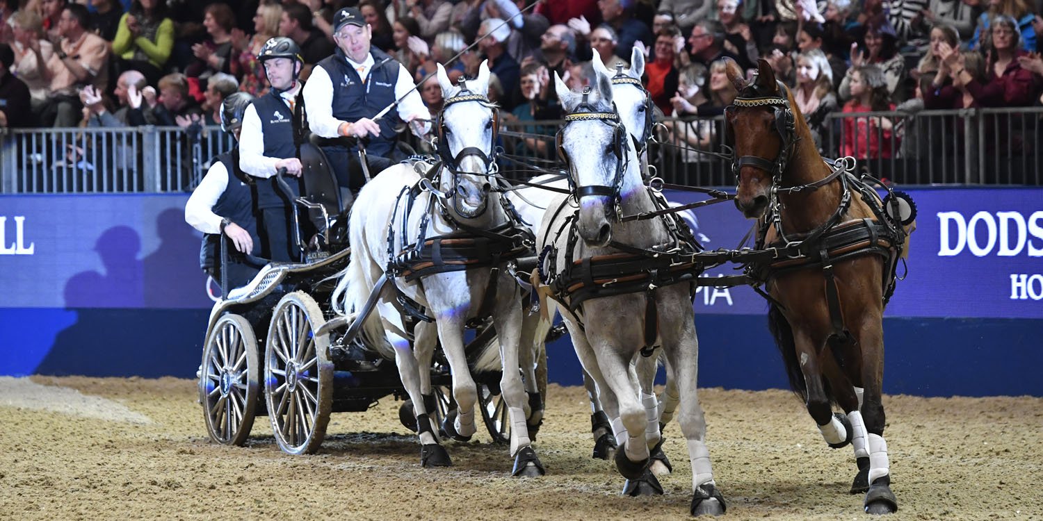 Carriage driving at Olympia (credit: Kit Houghton) Carriage and four galloping horses at Olympia arena