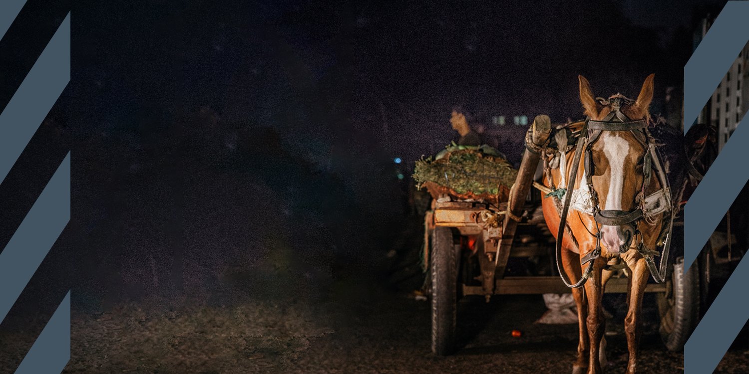 Working horse at night Working horse pulling cart at night