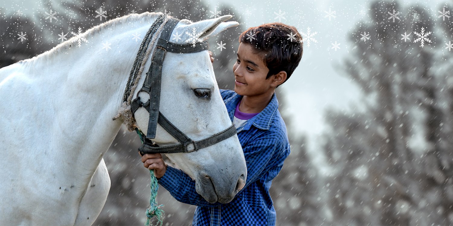 A boy and a horse together A boy and a horse together