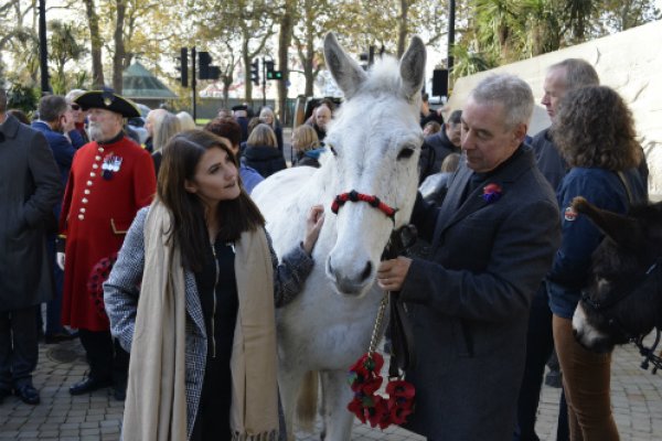 Aimee with Chico the mule from the British Mule Society Aimee with Chico the mule from the British Mule Society