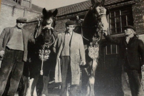 Photo of Colin Nicholls (on left) with Dolly an Irish draught mare and Captain, a Clydesdale. This photo was taken on 11.11.1970 and the horses were decorated with poppies made by Eileen and her sister, Alexandra. Photo of Colin Nicholls (on left) with Dolly an Irish draught mare and Captain, a Clydesdale. This photo was taken on 11.11.1970 and the horses were decorated with poppies made by Eileen and her sister, Alexandra.