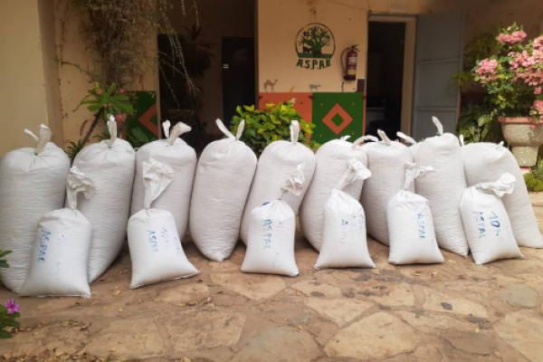 Seed distribution in West Africa Seed distribution in West Africa