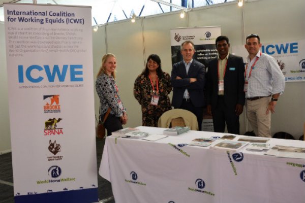 Emma Hales - World Horse Welfare, Dr Shereene Williams – Brooke , Roly Owers- World Horse Welfare, Dr Ramesh- Donkey Sanctuary, Dr Joe Collins- Donkey Sanctuary Emma Hales - World Horse Welfare, Dr Shereene Williams – Brooke , Roly Owers- World Horse Welfare, Dr Ramesh- Donkey Sanctuary, Dr Joe Collins- Donkey Sanctuary