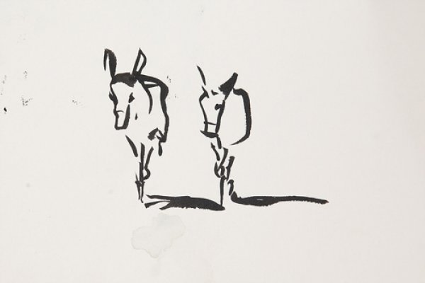 Sophie Walbeoffe's Donkey Sketch Sophie Walbeoffe's Donkey Sketch