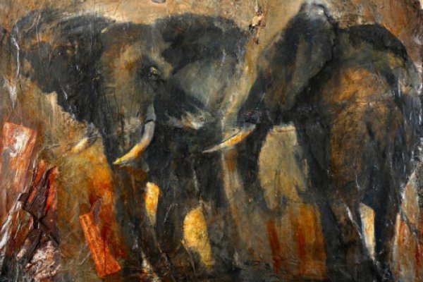 Sophie Walbeoffe's Fear of Poaching Sophie Walbeoffe's Fear of Poaching