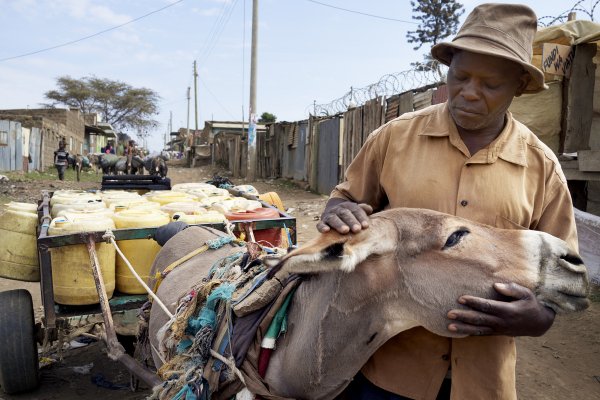 Stephen and his donkey Stephen and his donkey
