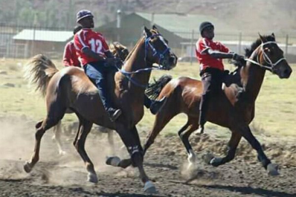 Men are seen taking part in bush racing Men are seen taking part in bush racing