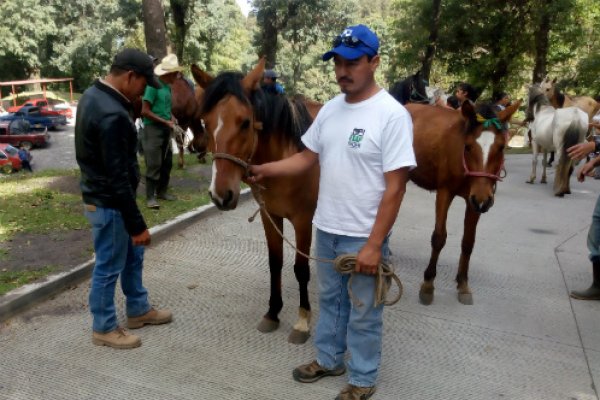 Guatemala emergency operation Guatemala emergency operation
