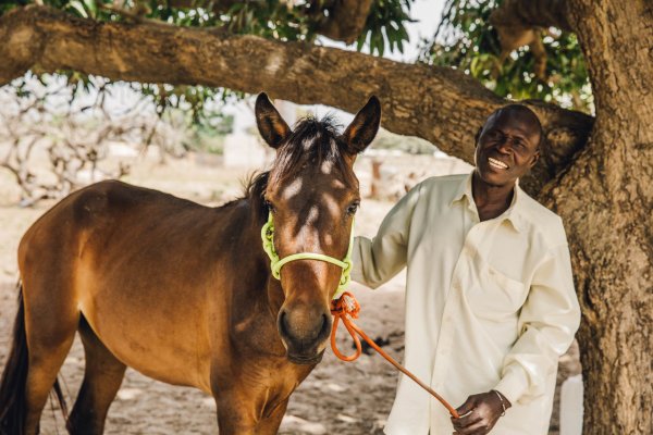Man with horse Man with horse