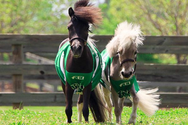 Star and Huck, official mascots of this year's WEG
