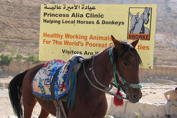 Princess Alia clinic banner
