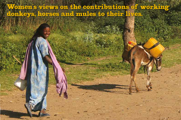 A woman with her donkey A woman with her donkey