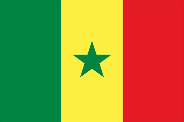 Senegal flag Senegal flag