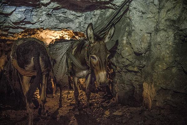 In the coal mine In the coal mine