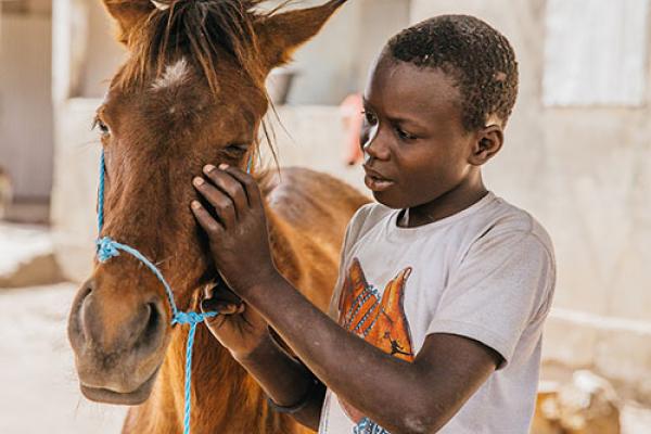 Senegal boy with horse Senegal boy with horse