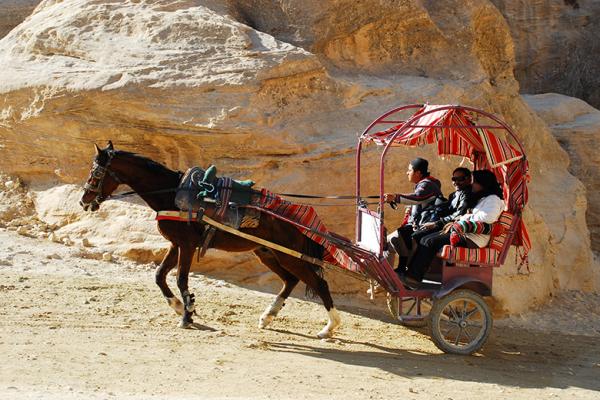 A horse pulling a carriage in Petra A horse pulling a carriage in Petra