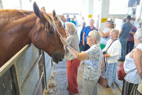 Brooke supporters meet Suffolk Punches at Brooke loyalty event