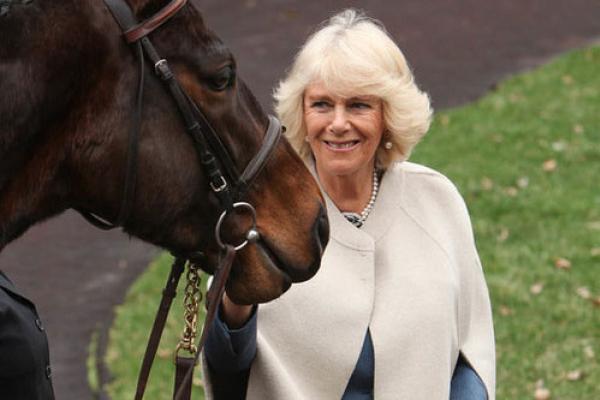 Her Royal Highness The Duchess of Cornwall Her Royal Highness The Duchess of Cornwall