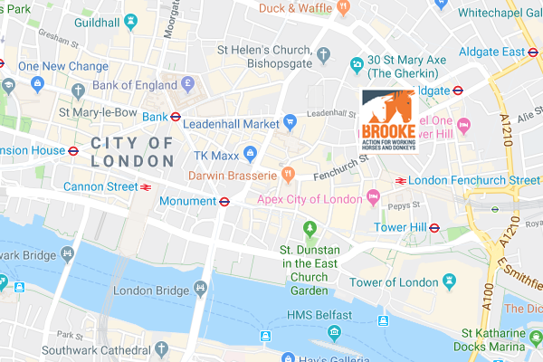 Brooke UK office on Google Maps Brooke UK office on Google Maps