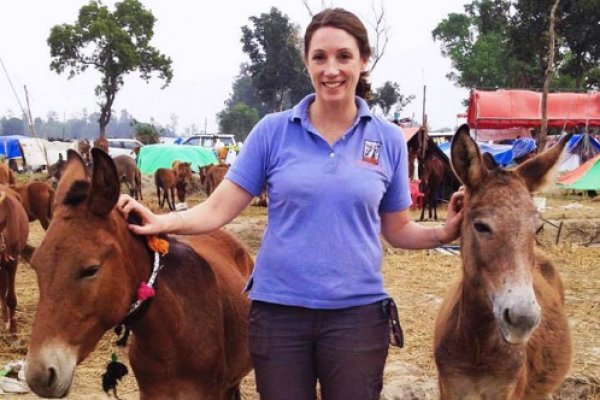Kimberly Wells in the field Kimberly Wells in the field with two donkeys