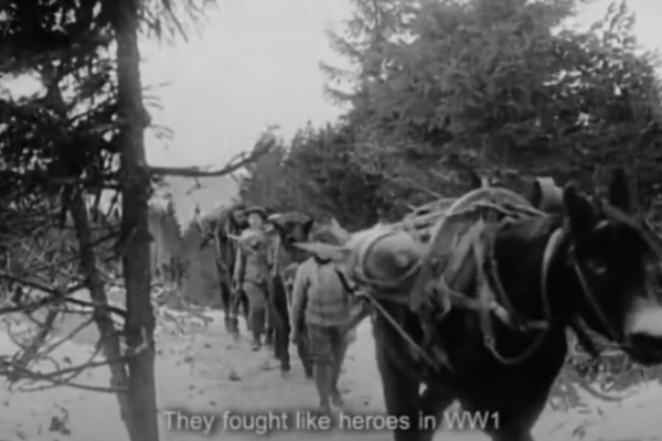 Our history video still A still from footage of WWI war horses