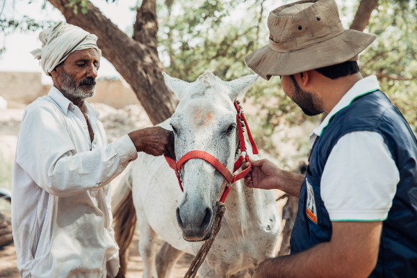 Men with horse in Pakistan Men with horse in Pakistan
