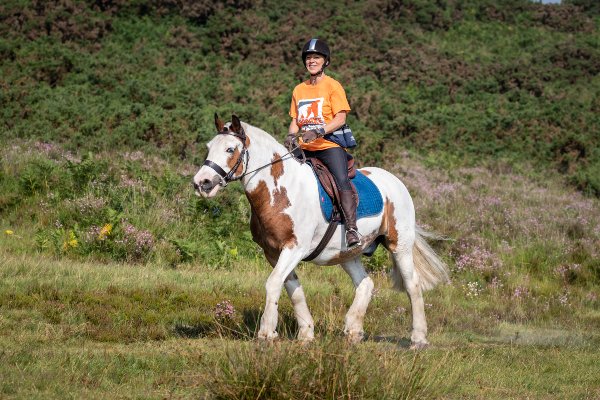 Woman on horse Woman on horse