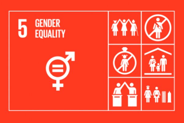 sdg 5 gender equality sdg 5 gender equality