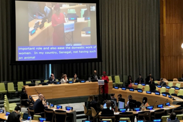 Rouguiatou delivers an oral statement during HLPF 2019 in New York Rouguiatou delivers an oral statement during HLPF 2019 in New York