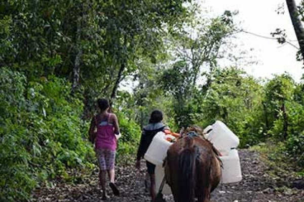 Work with Brooke America Central's partner Octupan in Nicaragua