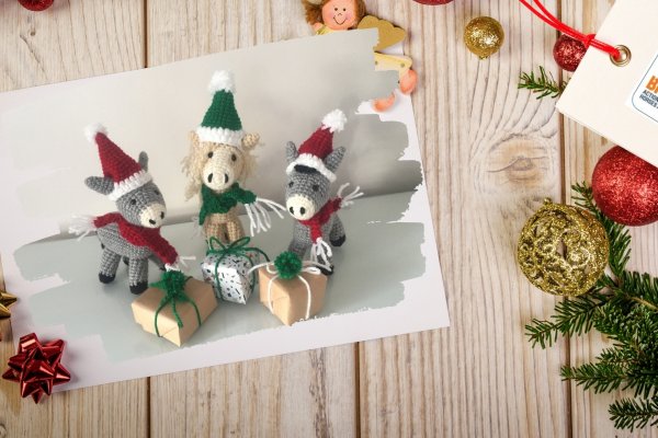 Craft for Brooke Knitted donkey Christmas crafts