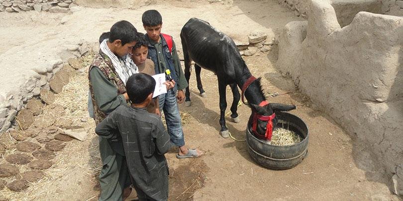 Village children receiving training in animal welfare and compassion Village children receiving training in animal welfare and compassion