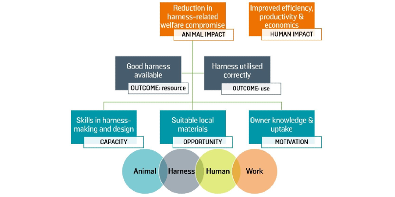 Human and animal impacts on harnessing Human and animal impacts on harnessing